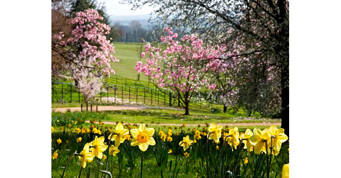 11 places to see gorgeous spring colours in Gloucestershire